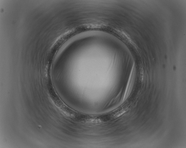 X0000081390543200702020258