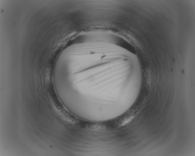 X0000081390546200702020258