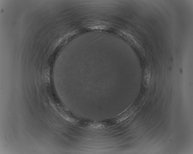 X0000081390547200702020258