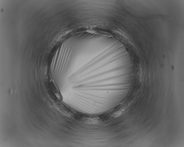 X0000081390548200702020258