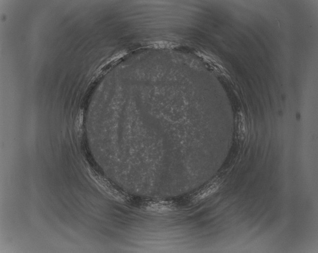 X0000081390550200702020258