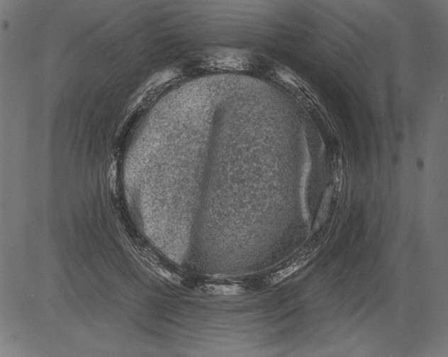 X0000081390552200702020258