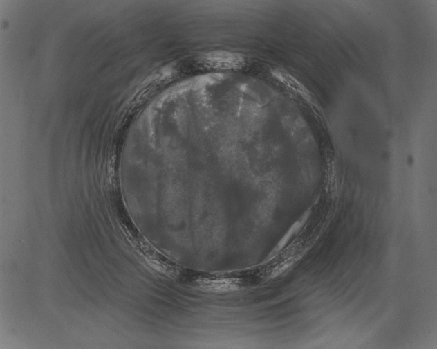 X0000081390553200702020258