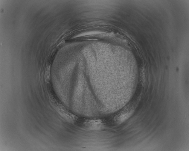 X0000081390554200702020258