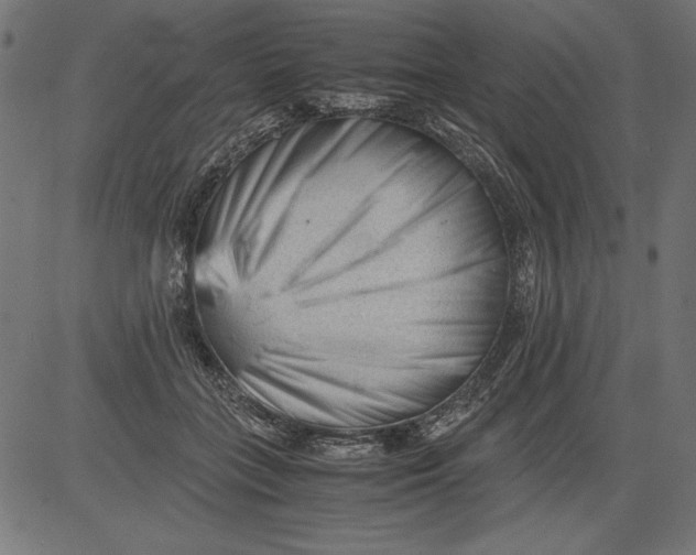 X0000081390555200702020258