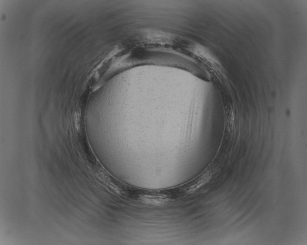 X0000081390556200702020258