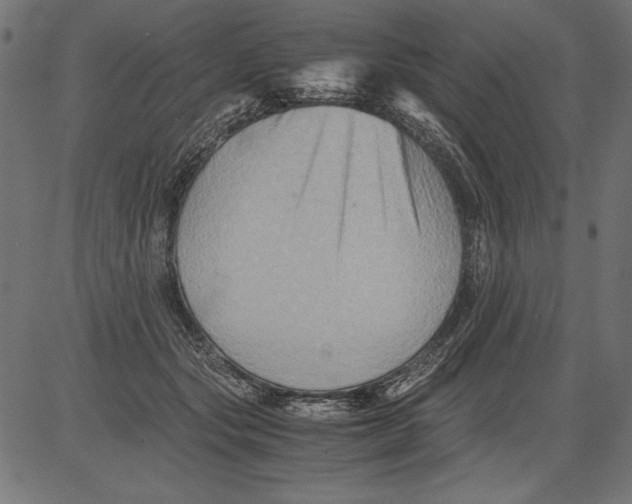 X0000081390557200702020258