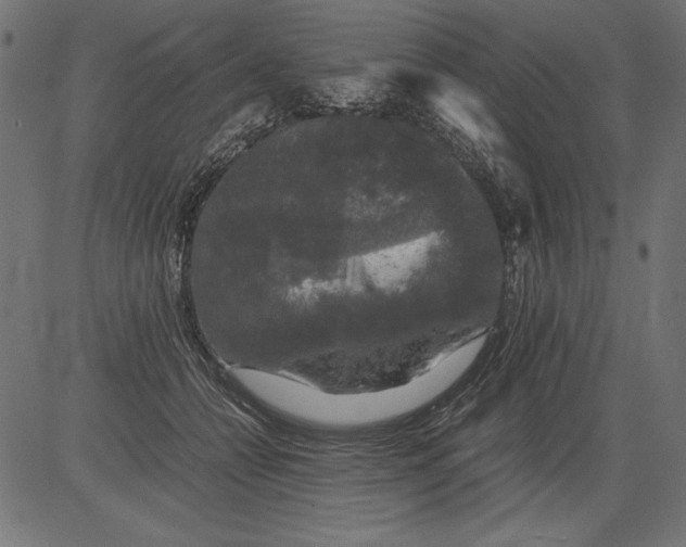 X0000081390558200702020258