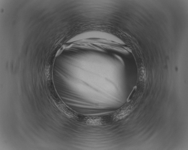 X0000081390560200702020258