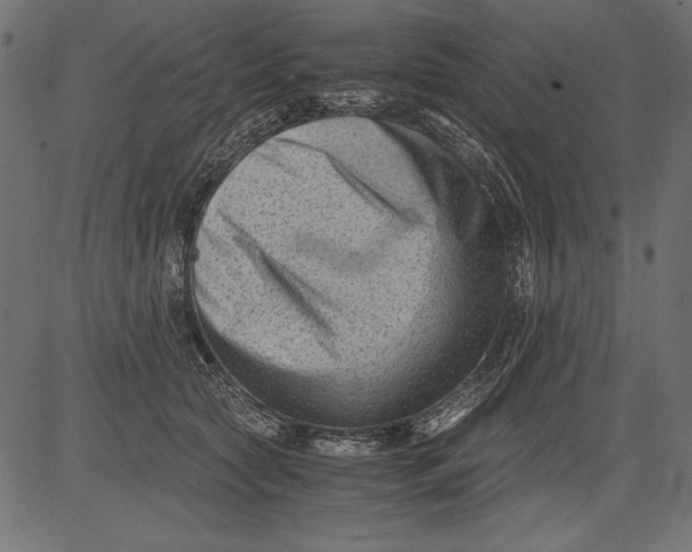 X0000081390561200702020258