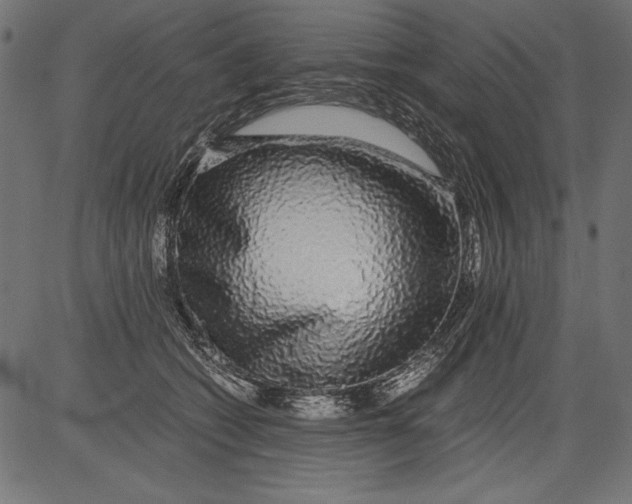 X0000081390562200702020258