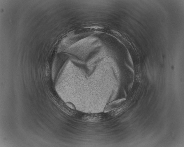 X0000081390563200702020258