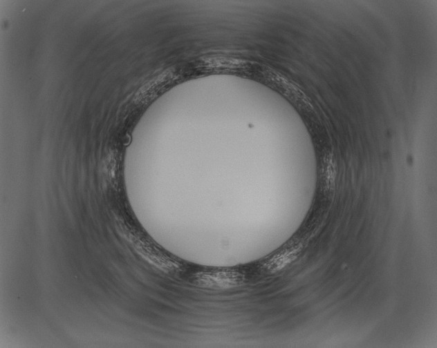 X0000081390567200702020258