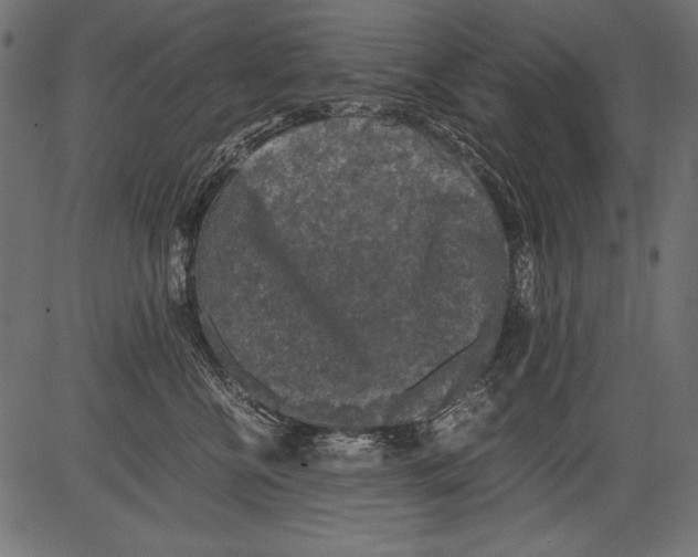 X0000081390570200702020258