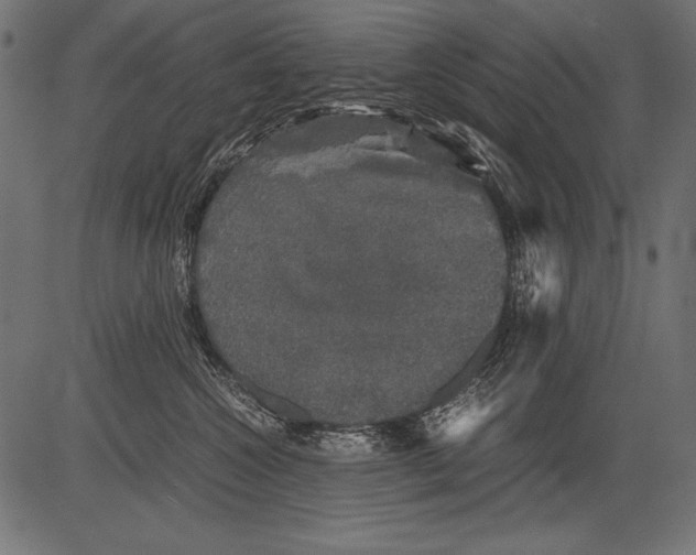 X0000081390572200702020258