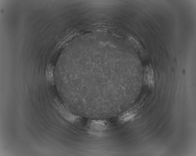 X0000081390573200702020258