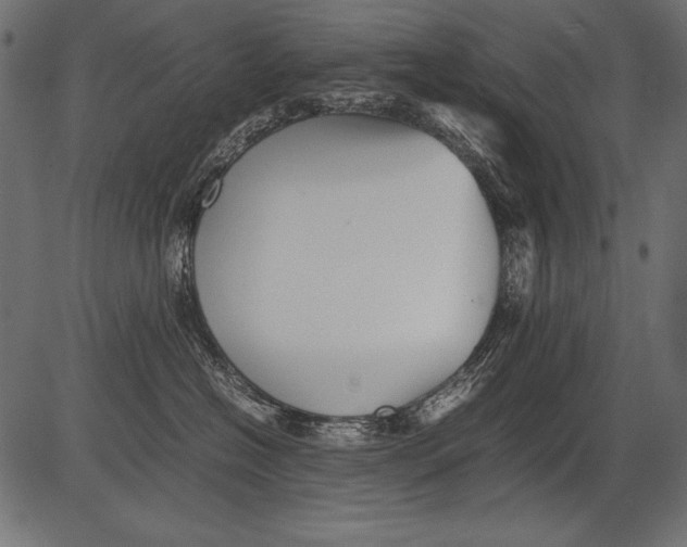 X0000081390574200702020258