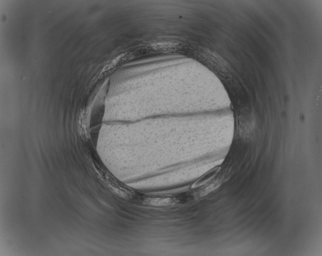 X0000081390575200702020258