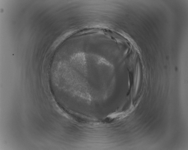 X0000081390577200702020257