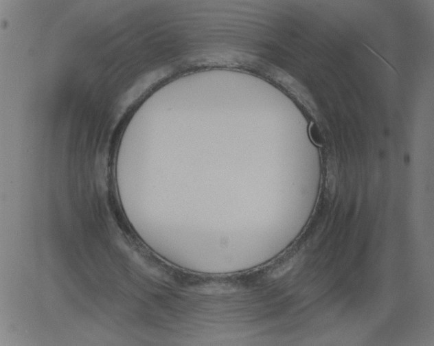 X0000081390578200702020257