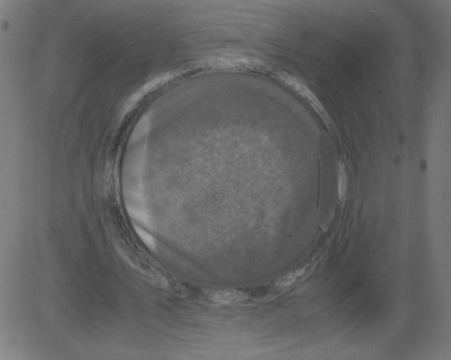 X0000081390579200702020257