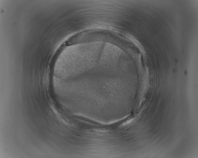 X0000081390580200702020257