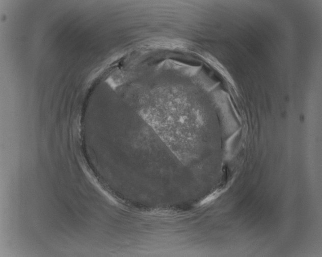 X0000081390581200702020257