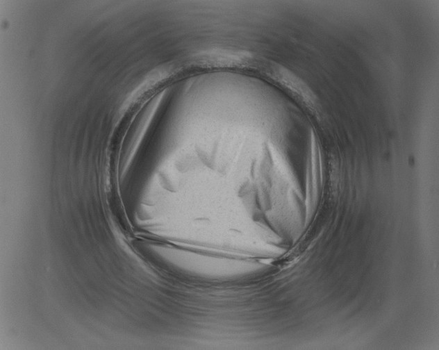 X0000081390582200702020257