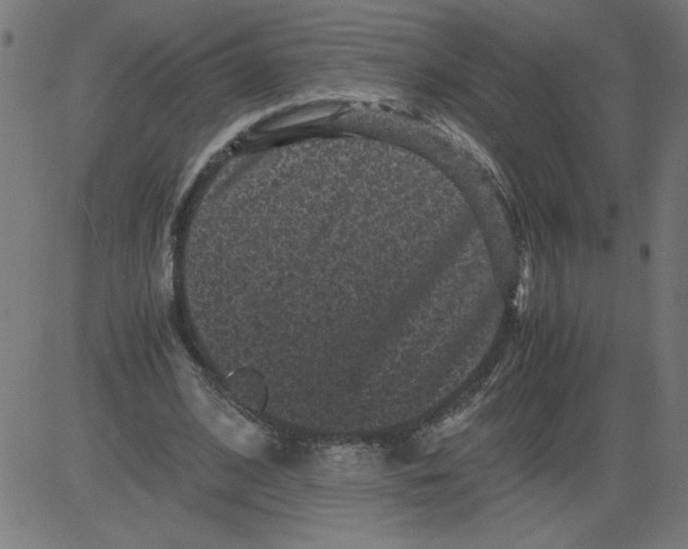 X0000081390584200702020257