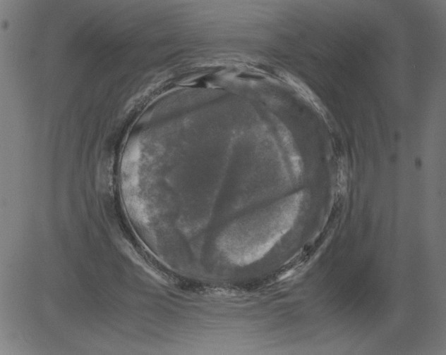 X0000081390585200702020257