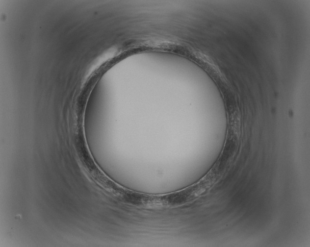 X0000081390587200702020257