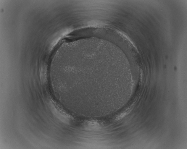 X0000081390588200702020257