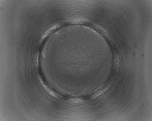 X0000081390590200702020257