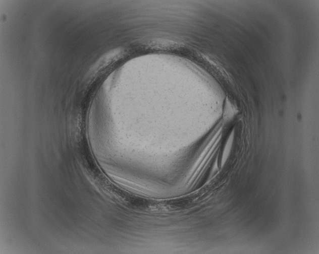 X0000081390591200702020257