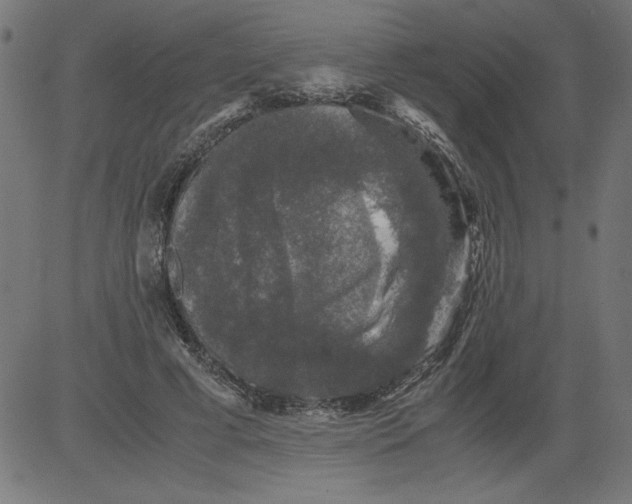 X0000081390593200702020257