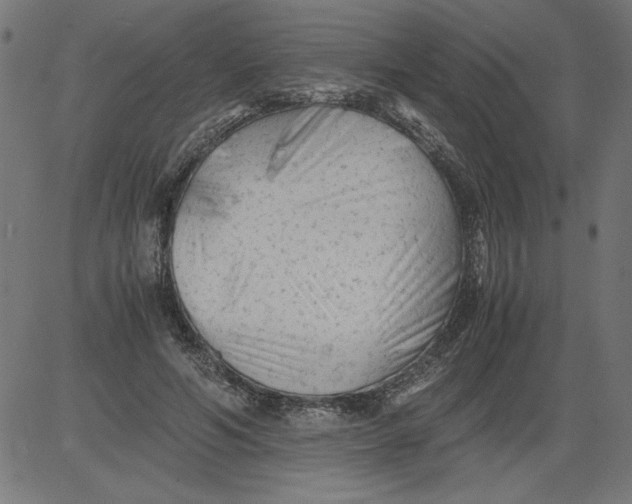 X0000081390594200702020257