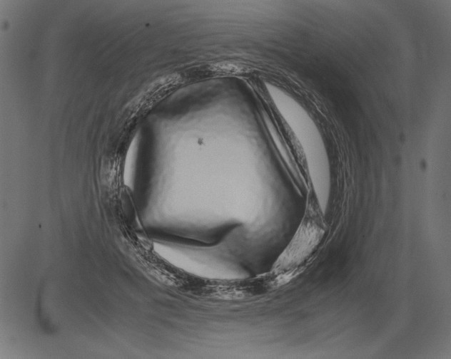 X0000081390601200702020257