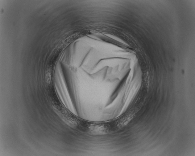 X0000081390602200702020257