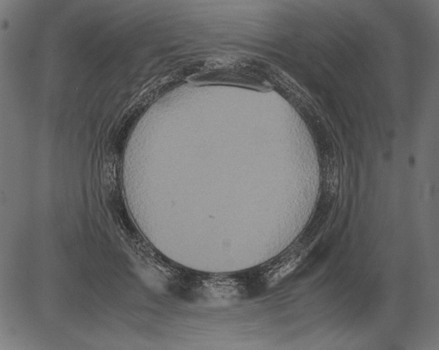 X0000081390603200702020257