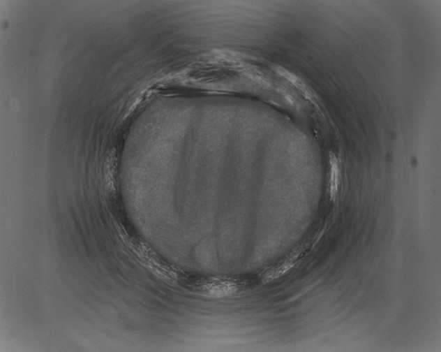 X0000081390604200702020257