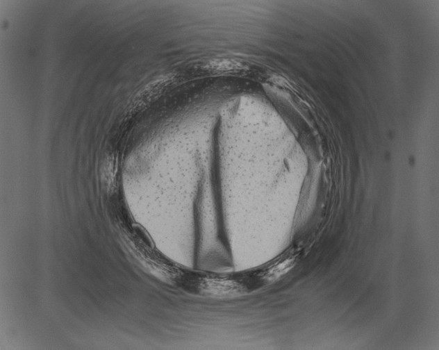 X0000081390605200702020257