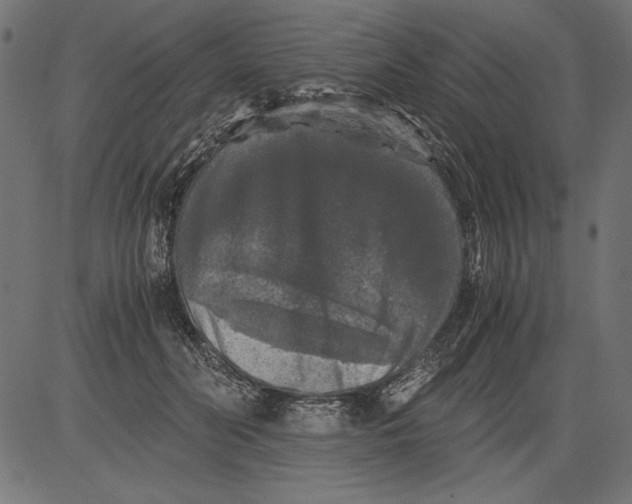 X0000081390606200702020257