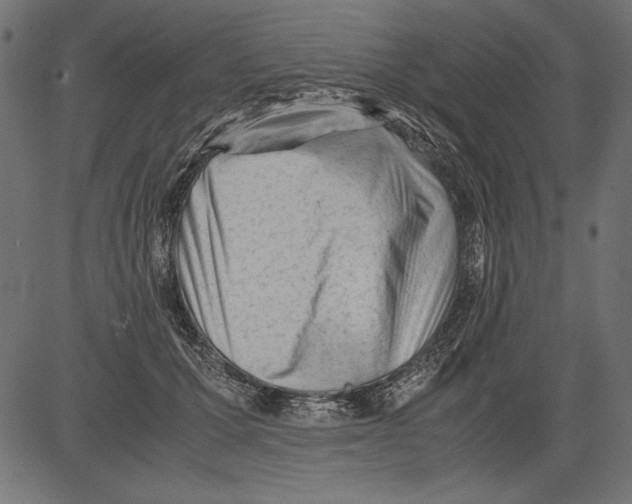 X0000081390607200702020257