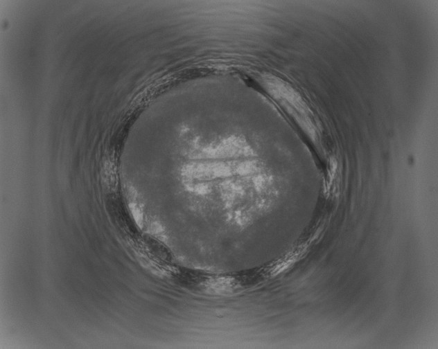 X0000081390609200702020257