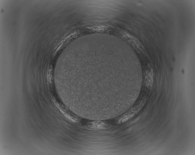 X0000081390612200702020257