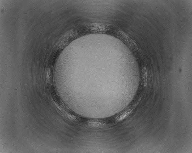 X0000081390614200702020257