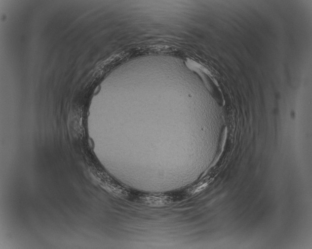 X0000081390615200702020257