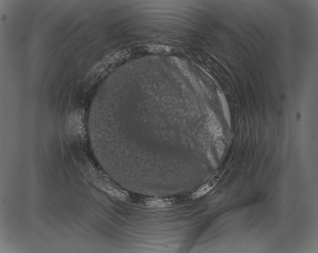 X0000081390616200702020257