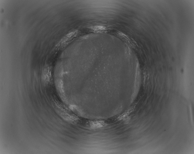 X0000081390618200702020257