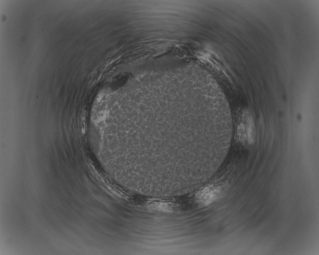 X0000081390620200702020257